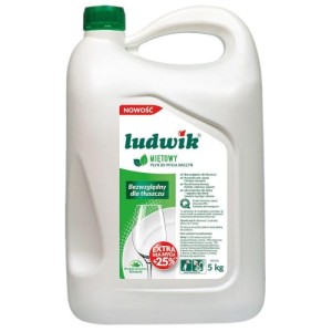 LUDWIK 5l płyn do naczyń Miętowy